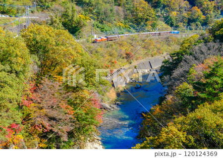 秋の利根川とDLぐんま 120124369