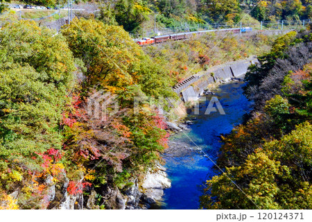 紅葉とDLぐんま 120124371