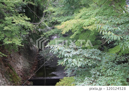 湯煙漂う日本三古湯の一つ有馬温泉 湯煙漂う日本三古湯の一つ有馬温泉 120124528