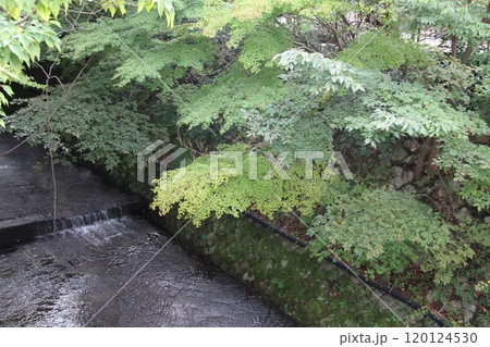 湯煙漂う日本三古湯の一つ有馬温泉 120124530