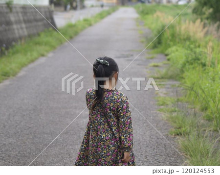 ポニーテールの女の子の後ろ姿 ポニーテールの女の子の後ろ姿 120124553