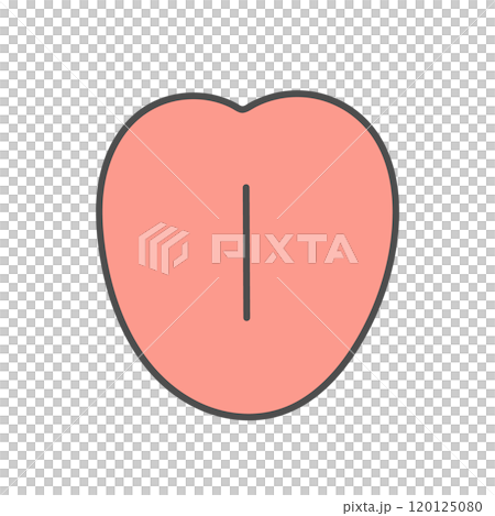 健康な舌　イラスト 120125080