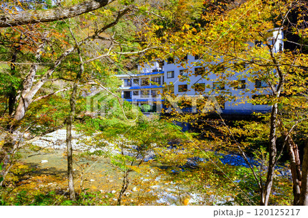 黄葉と川古温泉 120125217