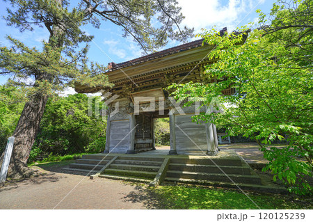 蚶満寺 120125239