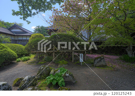 蚶満寺 蚶満寺 120125243