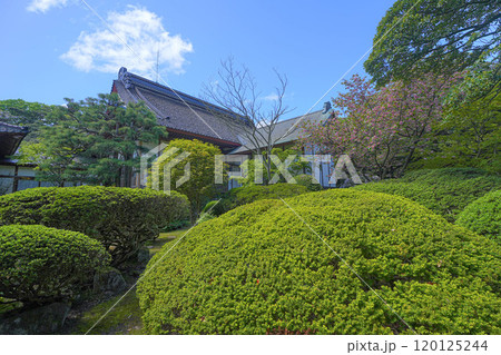 蚶満寺 蚶満寺 120125244