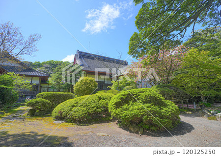 蚶満寺 120125250