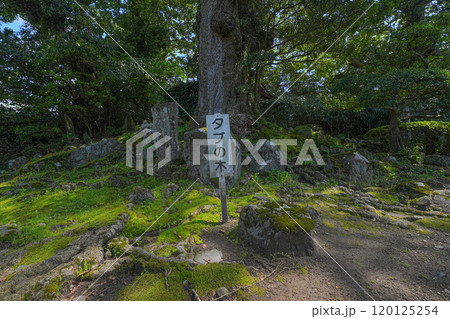 蚶満寺 120125254