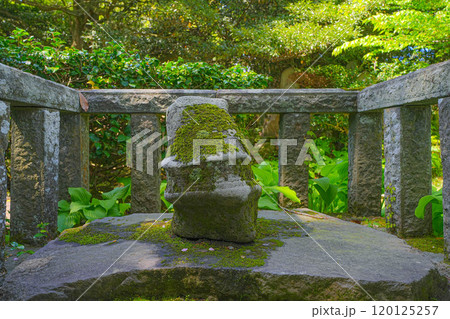 蚶満寺 蚶満寺 120125257