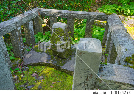 蚶満寺 120125258