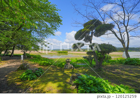 蚶満寺 120125259