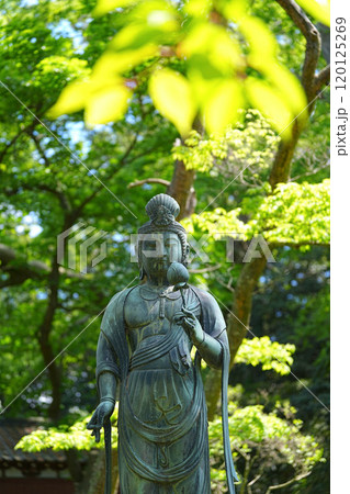 蚶満寺 120125269
