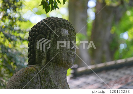 蚶満寺 120125288