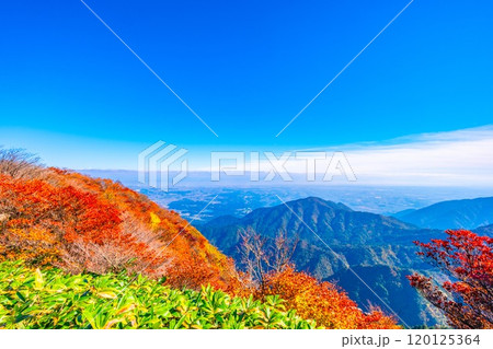 御在所岳 山上公園の紅葉と眺望 御在所岳 山上公園の紅葉と眺望 120125364