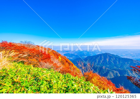 御在所岳 山上公園の紅葉と眺望 御在所岳 山上公園の紅葉と眺望 120125365