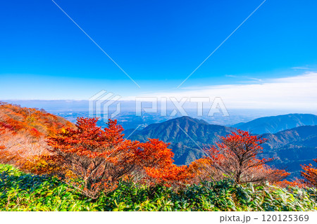 御在所岳 山上公園の紅葉と眺望 120125369