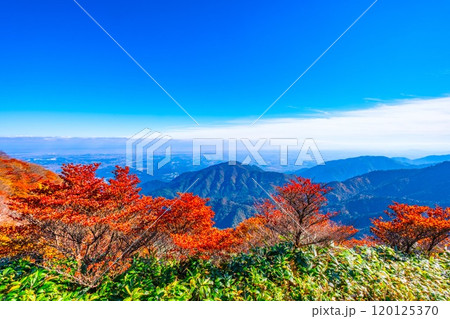 御在所岳 山上公園の紅葉と眺望 120125370