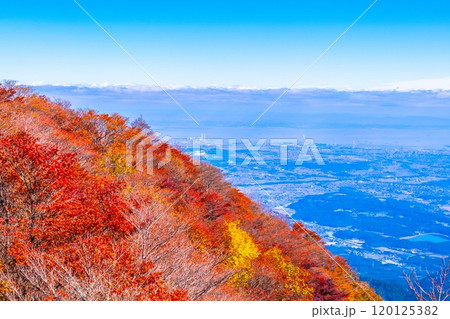 御在所岳 山上公園の紅葉と眺望 120125382