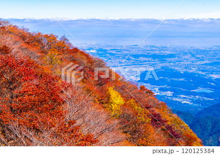 御在所岳 山上公園の紅葉と眺望 120125384