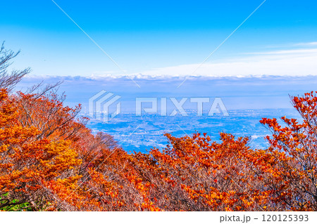 御在所岳 山上公園の紅葉と眺望 御在所岳 山上公園の紅葉と眺望 120125393
