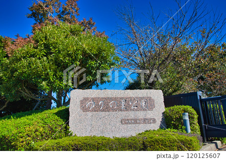 ゆりの里公園の秋 120125607