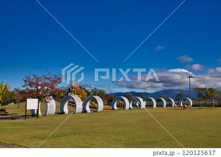 ゆりの里公園の秋 ゆりの里公園の秋 120125637