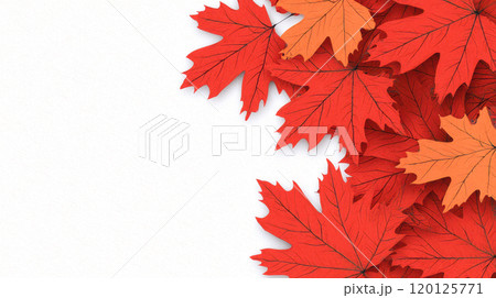 Colorful autumn leaves on a soft beige background, nature's beauty. 120125771
