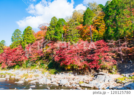 香嵐渓（秋） 120125780