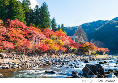 香嵐渓（秋） 120125882