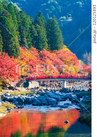 香嵐渓（秋） 120125893