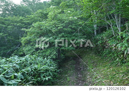 白砂山登山、群馬県 120126102