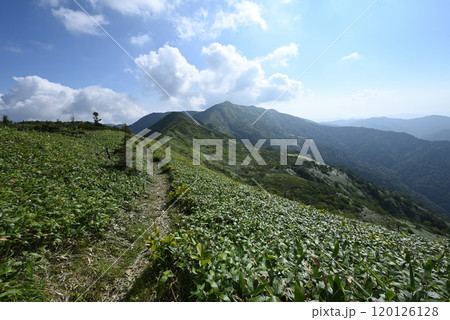 白砂山登山、群馬県 120126128