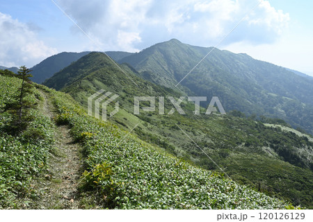 白砂山登山、群馬県 120126129