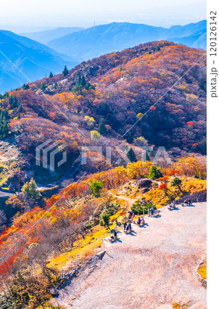 御在所岳 山上公園の紅葉と眺望 御在所岳 山上公園の紅葉と眺望 120126142