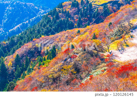 御在所岳 山上公園の紅葉と眺望 御在所岳 山上公園の紅葉と眺望 120126145