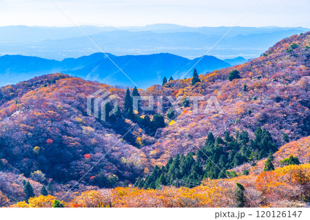 御在所岳 山上公園の紅葉と眺望 御在所岳 山上公園の紅葉と眺望 120126147