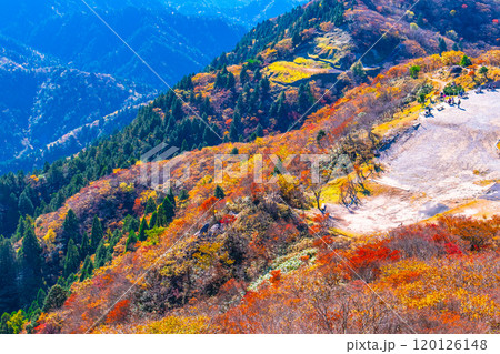 御在所岳 山上公園の紅葉と眺望 御在所岳 山上公園の紅葉と眺望 120126148