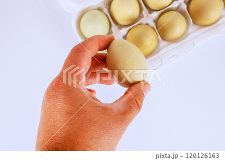 Holding an selecting an freshens egg from a carton, for using a culinary baking 120126163