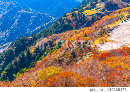 御在所岳 山上公園の紅葉と眺望 120126171