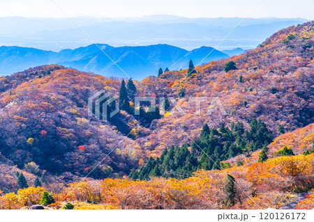 御在所岳 山上公園の紅葉と眺望 御在所岳 山上公園の紅葉と眺望 120126172
