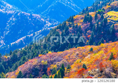 御在所岳 山上公園の紅葉と眺望 120126180