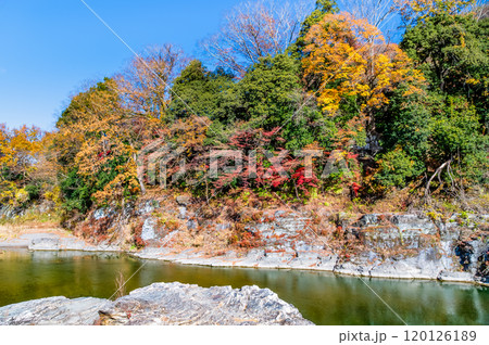 埼玉・長瀞渓谷　紅葉に染まる岩畳と荒川の渓流 120126189