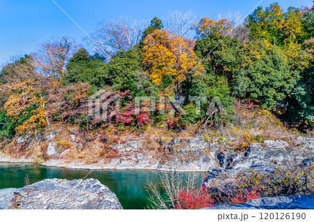 埼玉・長瀞渓谷　紅葉に染まる岩畳と荒川の渓流 120126190