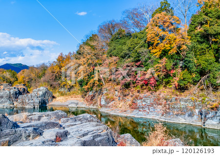 埼玉・長瀞渓谷　紅葉に染まる岩畳と荒川の渓流 120126193