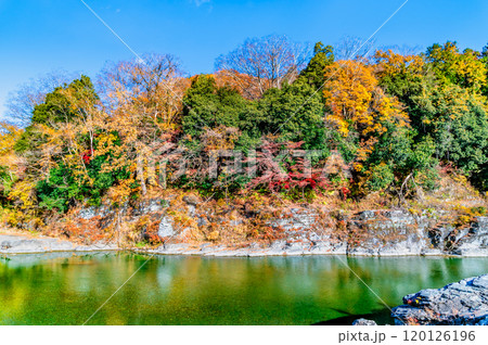 埼玉・長瀞渓谷　紅葉に染まる岩畳と荒川の渓流 120126196