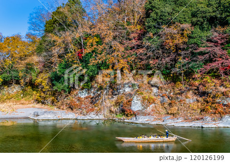 埼玉・長瀞渓谷　紅葉に染まる岩畳と荒川の渓流 120126199