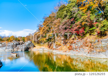 埼玉・長瀞渓谷　紅葉に染まる岩畳と荒川の渓流 120126203