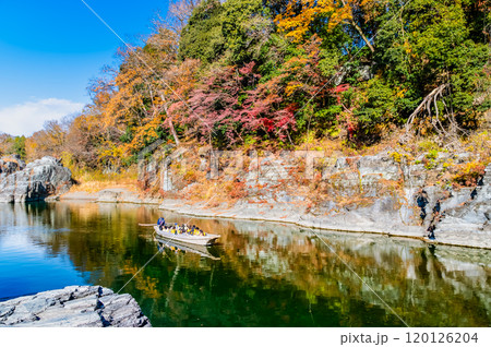 埼玉・長瀞渓谷　紅葉に染まる岩畳と荒川の渓流 120126204