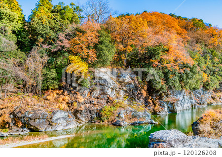 埼玉・長瀞渓谷 紅葉に染まる岩畳と荒川の渓流 埼玉・長瀞渓谷 紅葉に染まる岩畳と荒川の渓流 120126208
