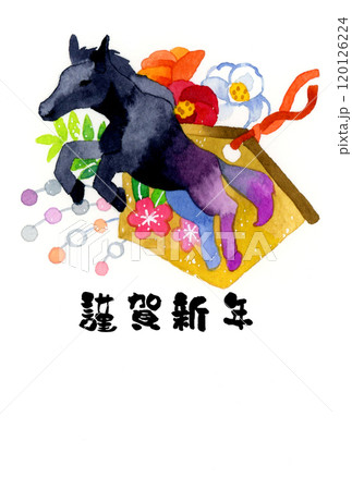 業務用年賀状素材集　セレクション 午年　2026年　デザイン250絵柄　プロ用 2026年 午年 年賀状デザイン集 DVD-ROM 全250点｜ハート
